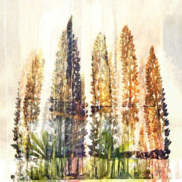 Lupins par Adri van Daal  Photo-Art