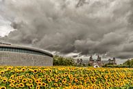Zonnebloemen en het Rijksmuseum in Amsterdam van Don Fonzarelli thumbnail