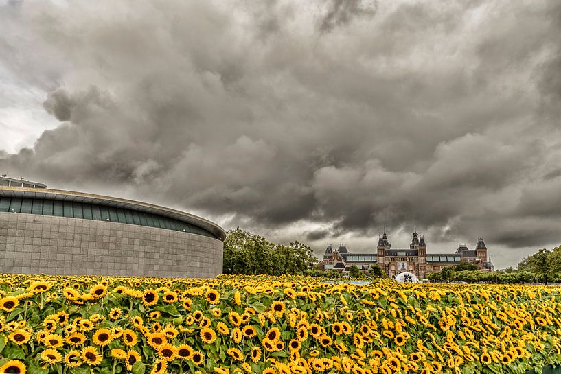 Zonnebloemen en het Rijksmuseum in Amsterdam van Don Fonzarelli