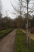 Wanderweg Hohe Veluwe
