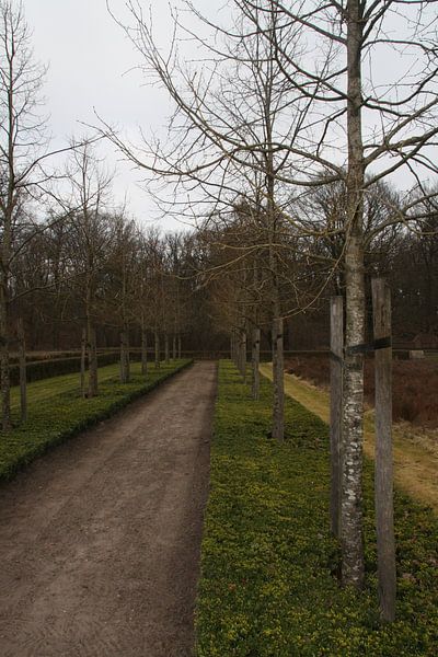 Chemin de randonnée de la Haute Veluwe par Novaii Emery