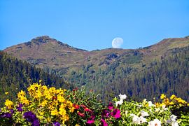 Der Mond sitzt am Grießenkar von Christa Kramer
