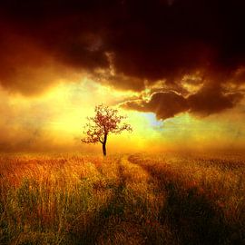 Alte Landschaft von Jacq Christiaan