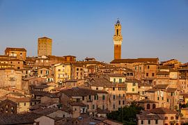 Siena Skyline
