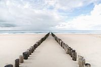 strand zeeland met paaltjes