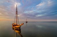 Gemeinsam unterwegs, gemeinsam zu Hause...  Texel von Texel360Fotografie Richard Heerschap Miniaturansicht