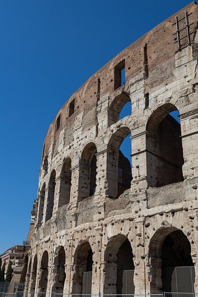 Colosseum by Hello Pompoyo