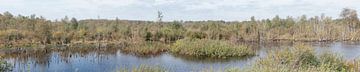 Internationaler Naturpark Bourtanger Moor-Bargerveen by Richard Wareham