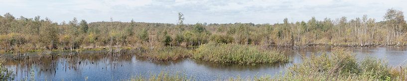 Internationaler Naturpark Bourtanger Moor-Bargerveen by Richard Wareham