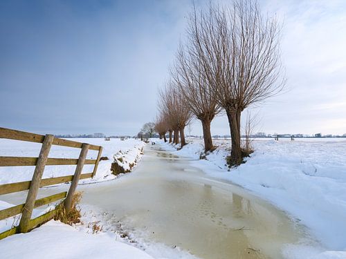 Sneeuw bedekt het polderlandschap bij Noordeloos in de winter