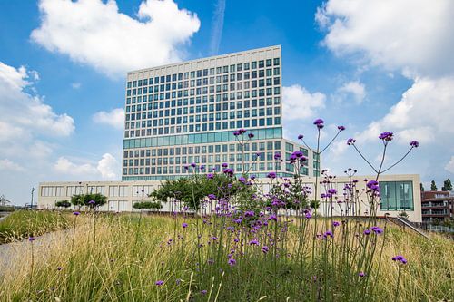 Gerechtsgebouw Breda