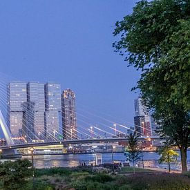 Pont Erasmus, Rotterdam, Pays-Bas sur themovingcloudsphotography