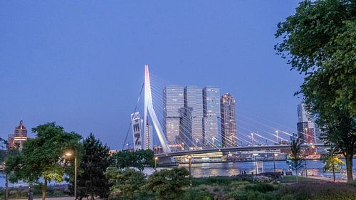 Erasmusbrug, Rotterdam, Nederland