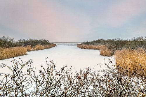 Glace et neige - Petite baie