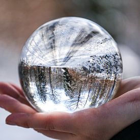 CapturedbyPaul Profilfoto