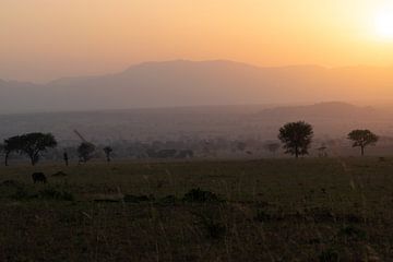 Golden silence - Kidepo Valley at sunset by Rick Massar