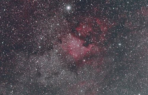 De Noord - Amerika & pelikaan nevel in het sterrenbeeld zwaan