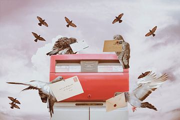The mail delivery service van Elianne van Turennout