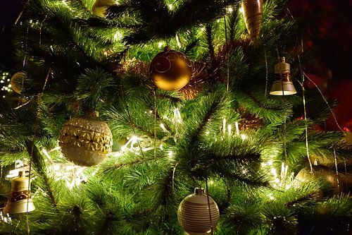 Boom ornamenten