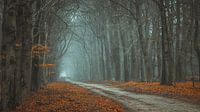 Regale Gambeson Landschaft