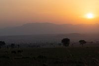 Abend in Afrika - Die Berge in Licht getaucht