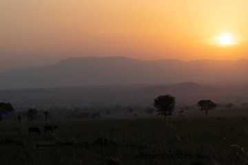 Evening on Africa - The mountains bathed in light by Rick Massar