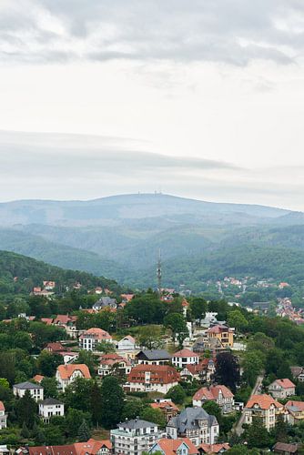 Vue sur Wernigerode et le Harz