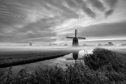 Matin au moulin de Wogmeer