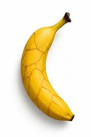 Golden Scars – The Perfection of the Banana by Eric Nagel