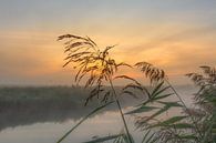 Zonsopkomst mistige ochtend van Rick van de Kraats thumbnail