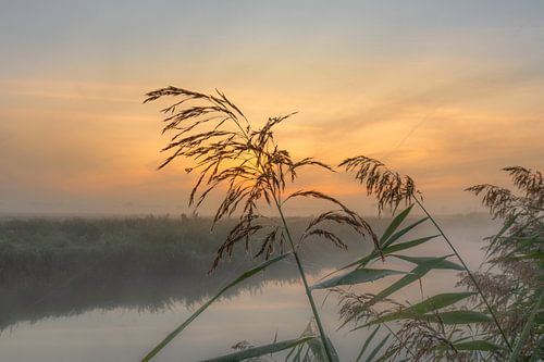 Zonsopkomst mistige ochtend