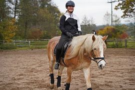 Training with the light brown Haflinger with beige mane