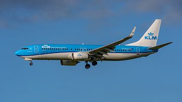 KLM Boeing 737-800 passenger aircraft.