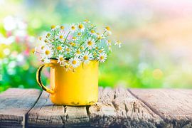 Daisies in vintage mug by JW Does