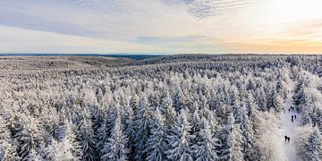 Bos bij Kaltenbronn in het Zwarte Woud in de winter van Werner Dieterich