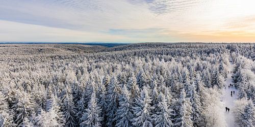 Forest near Kaltenbronn in the Black Forest in winter by Werner Dieterich
