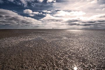La mer des Wadden à marée basse.