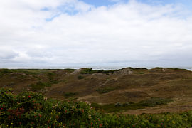 Photos de l'île de Langeoog, située en Frise orientale, dans la mer du Nord. sur Bianca Meyering Fotos - BMF