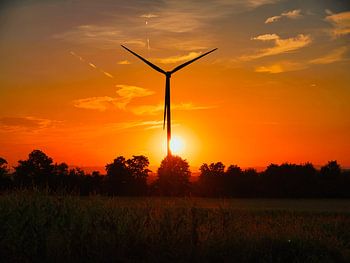 Soirée d'été dans la lumière dorée
