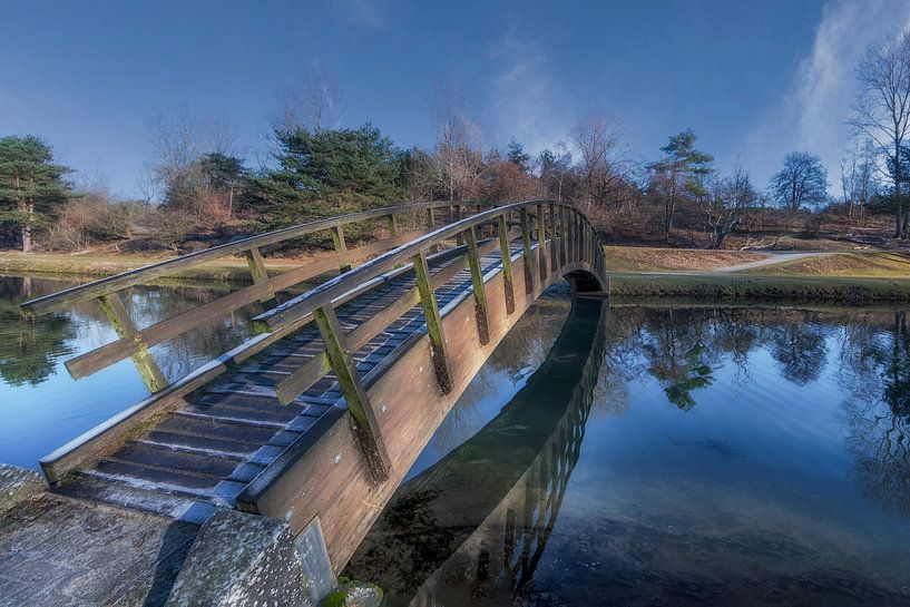 Winter day in the Amsterdam Water Supply Dunes by Peter Bartelings