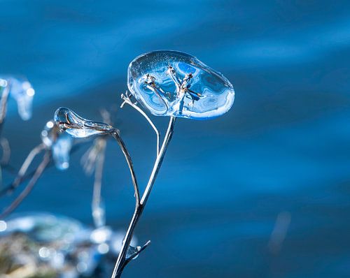 Natuurlijke Abstractie in  Ijsvormen