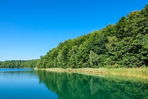 Landscape on a lake with trees sur Rico Ködder