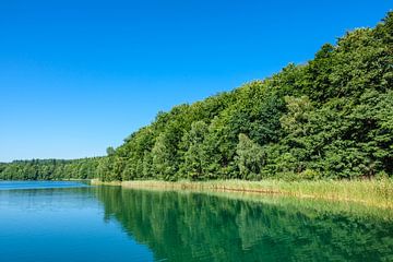 Landscape on a lake with trees sur Rico Ködder
