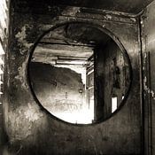 Bjorn van Limbeek Profile picture