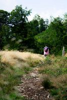 Solo Hiker on a Sunlit Rural Path Through Golden Grass