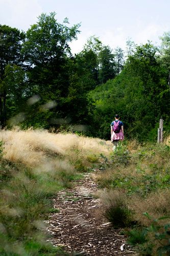 Solitaire Wandelaar op een Landelijk Pad door Hoog Gouden Gras en Weelderig Bos