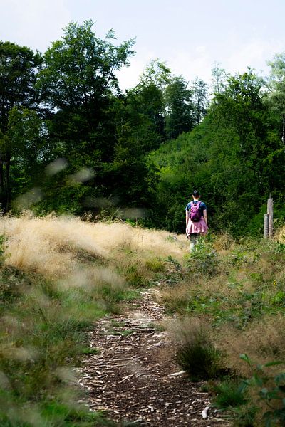 Einsamer Wanderer auf einem ländlichen Weg durch hohes goldenes Gras und üppigen Wald von DiJa Photography