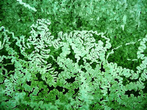 Magical Green by MoArt (Maurice Heuts)