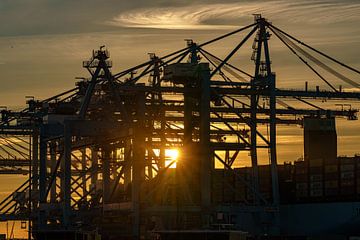 Sunset at container terminal Second Maasvlakte. by Jaap van den Berg