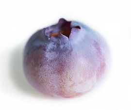 Pink and Blue Blueberry by Iris Holzer Richardson